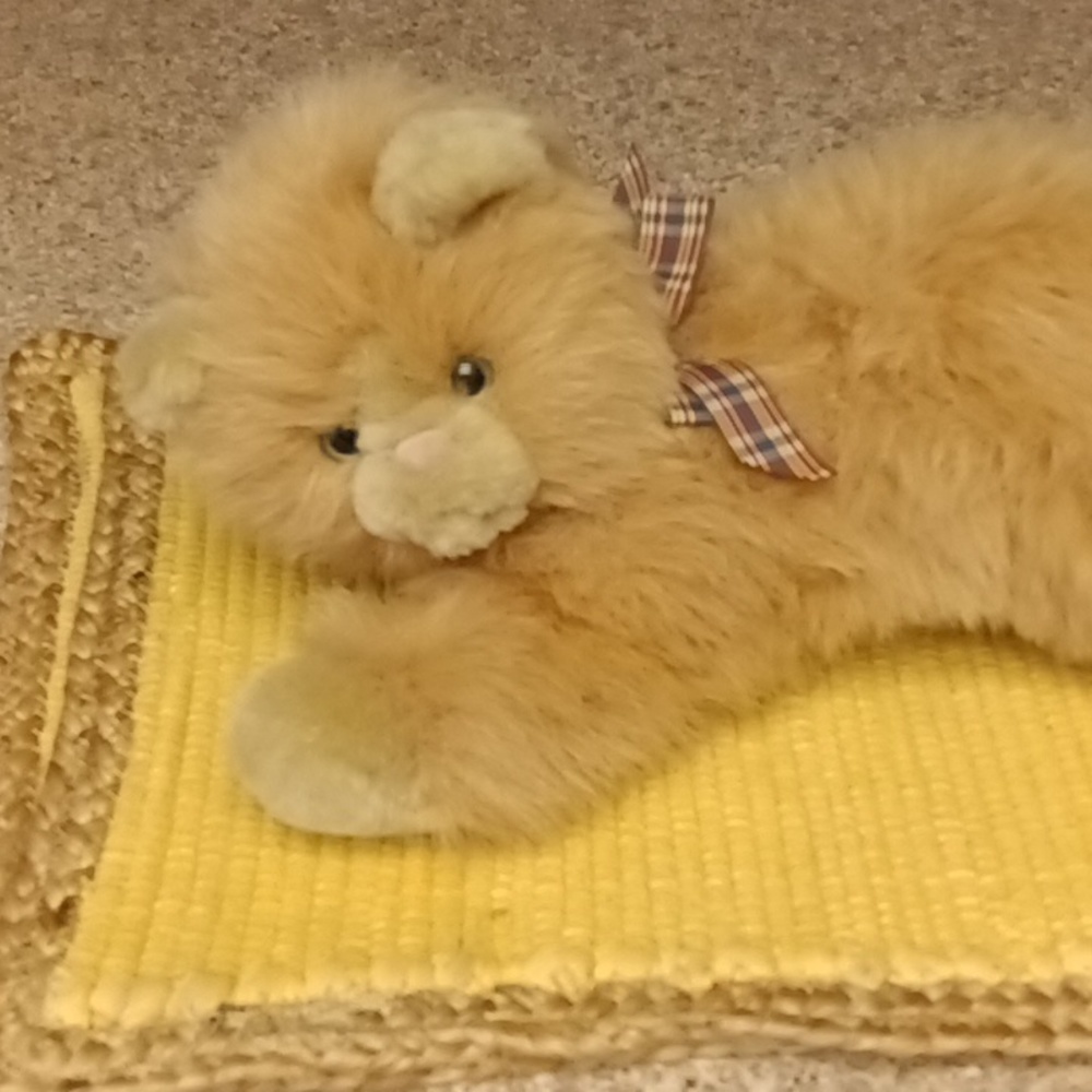 Commonwealth cat  12" plush with bow  tans with blue eyes